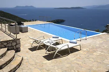 Dream View